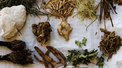 Traditional herbs